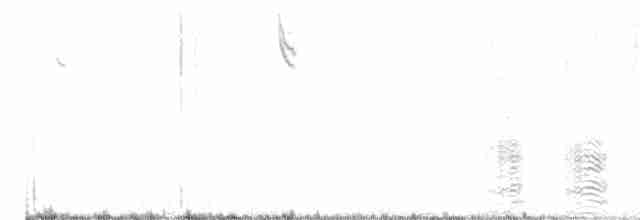 Ibis à face blanche - ML609236667