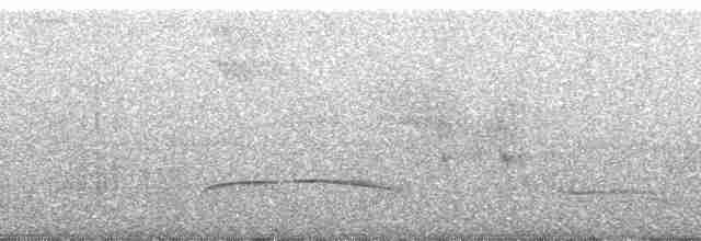 Зернолуск великий - ML60924