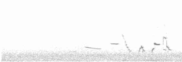 Western Meadowlark - ML609240171