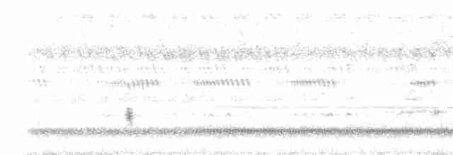 Eurasian Nightjar - ML609241678