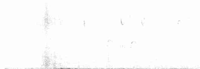 Schwarzstirn-Schneegimpel - ML609242095