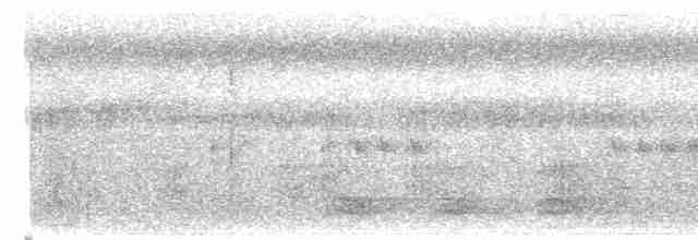 Puff-throated Babbler - ML609242798
