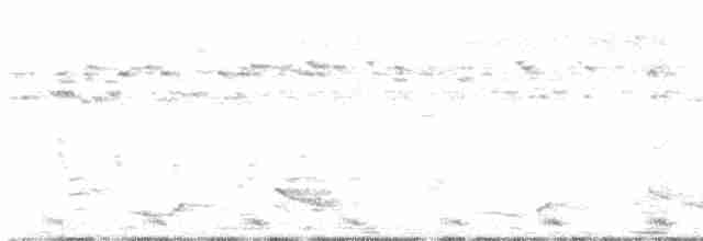 Langschwanz-Nachtschwalbe - ML609242916