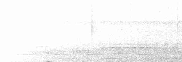 Pale-breasted Thrush - ML609245389
