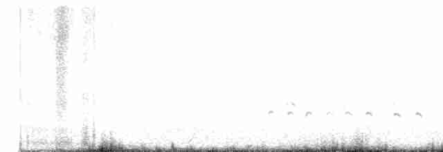 Whimbrel (Hudsonian) - ML609246208