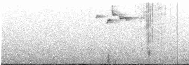  - Timor Flowerpecker