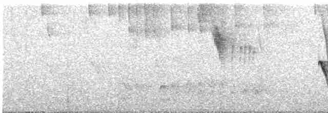 Strichelkopf-Ameisenfänger - ML609251396