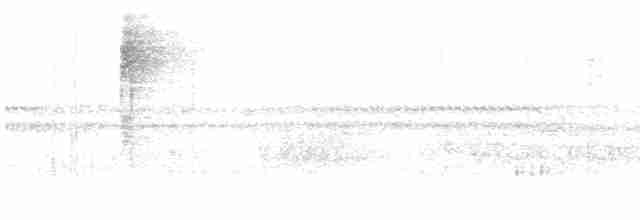 Atlantik Karınca Tiranı - ML609252015