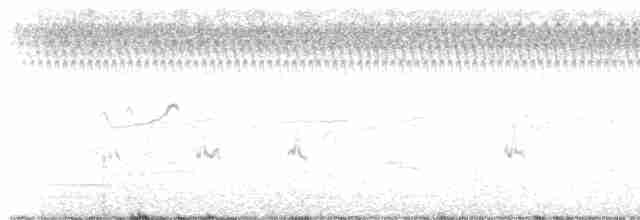 Uzun Kanatlı Kumkuşu - ML609254384