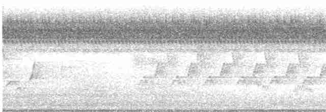 Дрізд-короткодзьоб Cвенсона - ML609259186