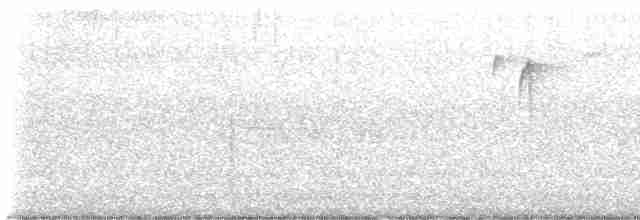 Schwarzkopfmeise - ML609261504