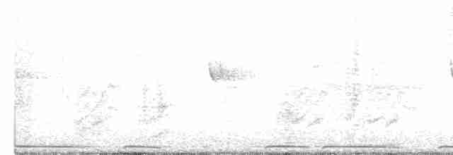 Eurasian Collared-Dove - ML609262866