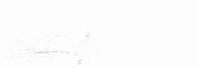 Boz Başlı Sinekkapan (olivascens) - ML609264200