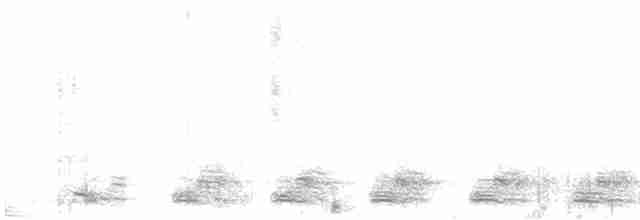 Trogon élégant (groupe ambiguus) - ML609264213