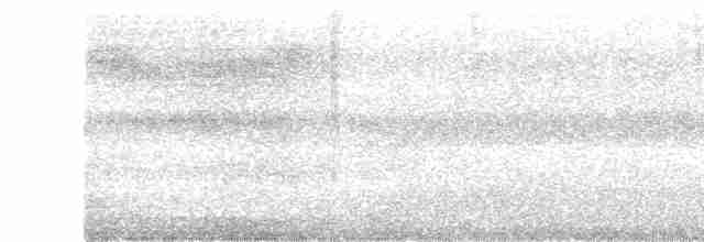 Grünbrust-Mangokolibri - ML609266251