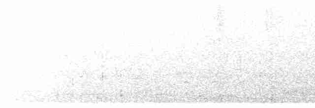 Small-billed Tinamou - ML609269168