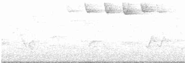 Blackpoll Warbler - ML609271304