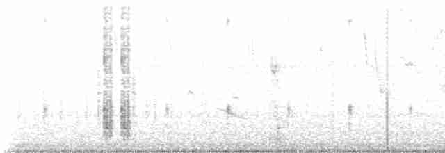 House Wren (Southern) - ML609273692