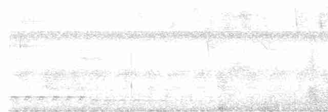 White-tailed Trogon - ML609276073
