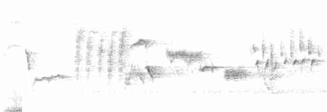 Bewick's Wren - ML609276238
