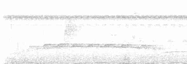 Bright-rumped Attila - ML609276412