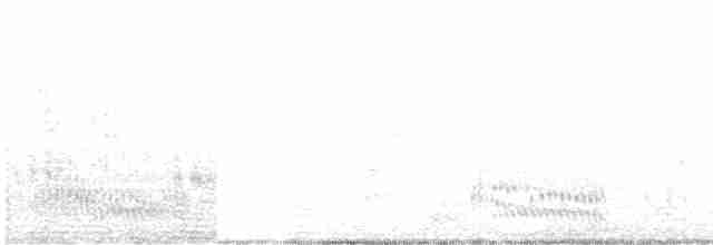 White-browed Babbler - ML609278961