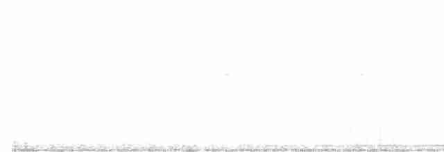 White-throated Nightjar - ML609282808