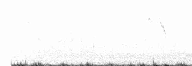 Берингийская жёлтая трясогузка - ML609285099