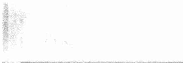 White-eyed Vireo (White-eyed) - ML609289563