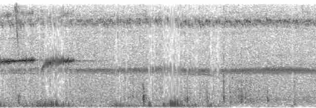 purpurstrupeeufonia - ML60929