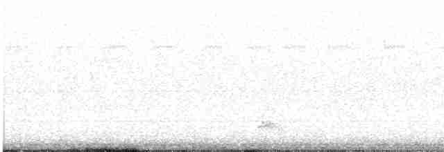 Yellow-crowned Night Heron - ML609293508