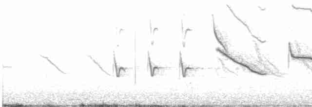 Long-tailed Meadowlark - ML609298853