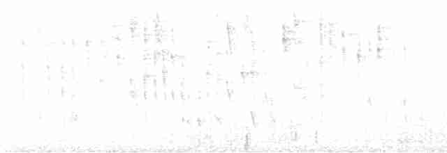 Ak Kaşlı Hemispingus [superciliaris grubu] - ML609303836