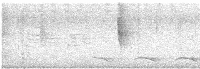 Atlantik Kara Gerdanlı Trogonu - ML609306247