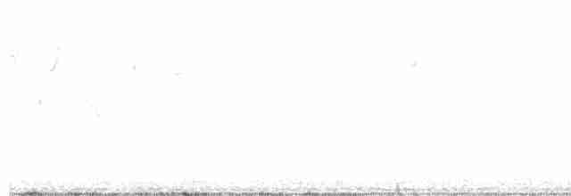 Greenish Warbler (viridanus) - ML609310313