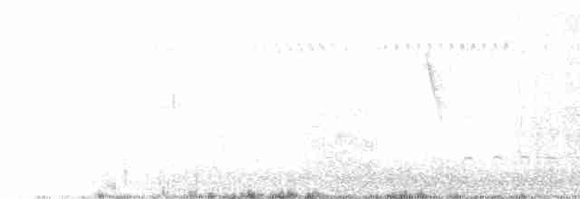 Бледная кукушка - ML609311184