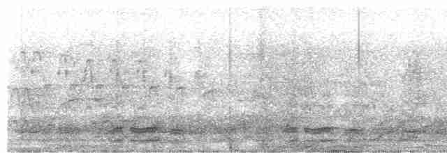 Лінивка-смугохвіст плямистобока - ML609313389