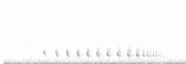 Weißwangen-Dickichtschlüpfer - ML609316764