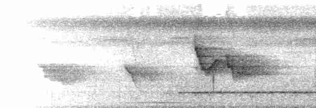Тиран-карлик буроголовий - ML609316804