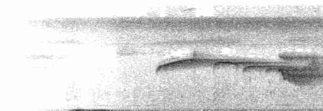 Тиран-карлик буроголовий - ML609316805