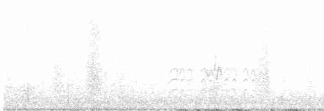 Sittelle à poitrine blanche (groupe lagunae) - ML609318301