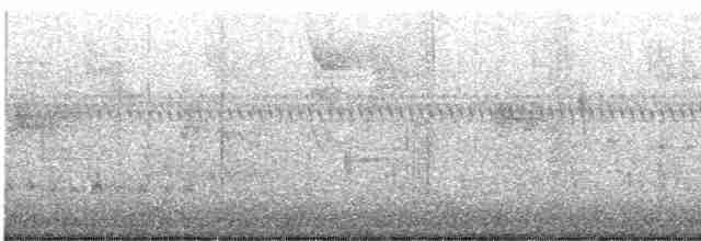 brunkinnskogtrost (swainsoni gr.) - ML609318758