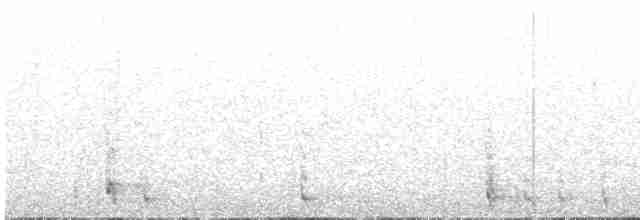 svartbrystfrankolin - ML609319748