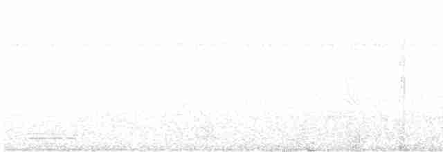 Koca Başlı Motmot [platyrhynchum grubu] - ML609323518