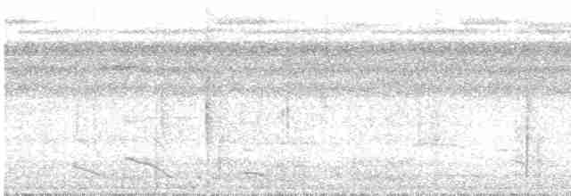 Weißbrust-Ameisenvogel - ML609327591