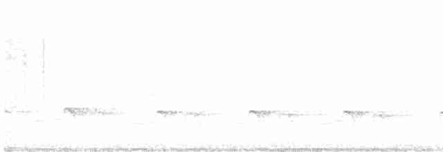 Güçlü Gagalı Tırmaşık [promeropirhynchus grubu] - ML609330878