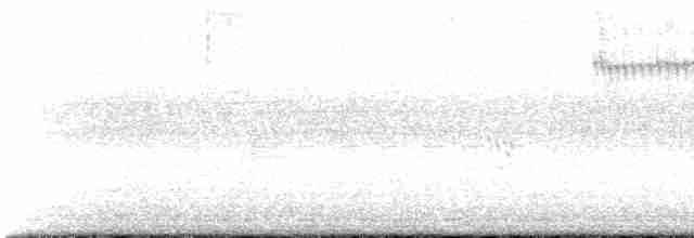 båndpikulett (cirratus gr.) - ML609349667