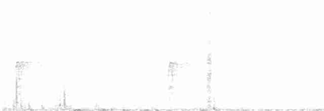 נקר לבן-גב - ML609351336