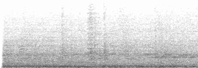 White-tailed Nightjar - ML609351917