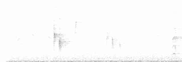 Дрізд мексиканський - ML609354527